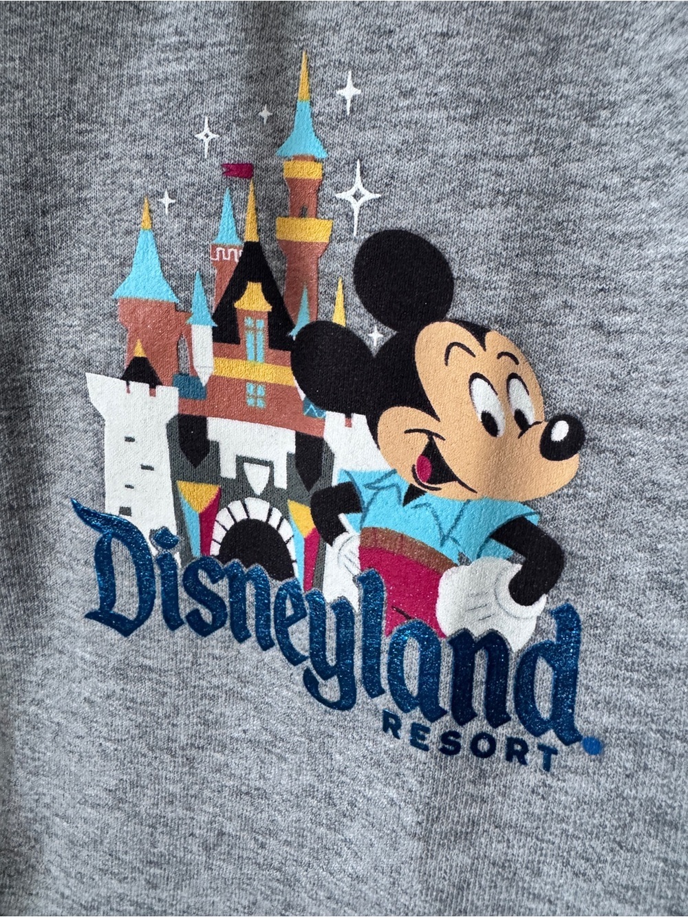NWOT-Disneyland Gray Zip-Up Hoodie with Castle & Mickey Graphic-Medium - Picture 2 of 5